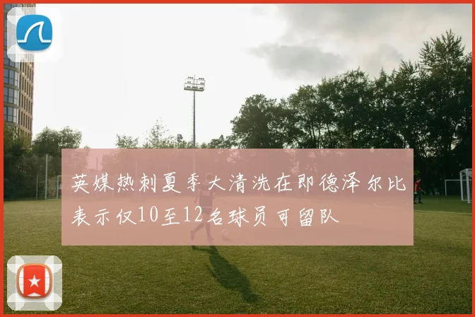 英媒热刺夏季大清洗在即德泽尔比表示仅10至12名球员可留队