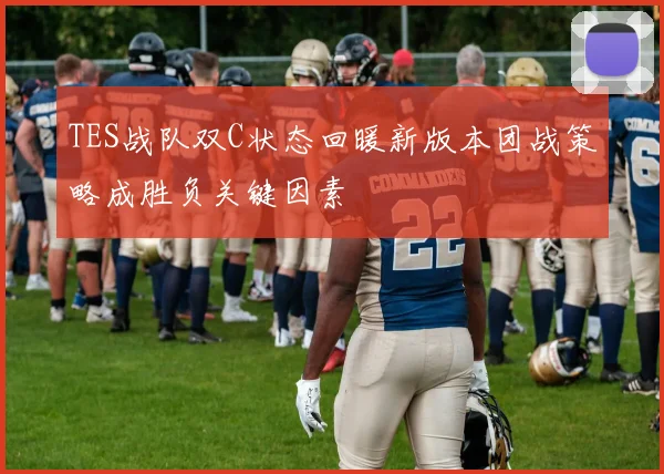 TES战队双C状态回暖新版本团战策略成胜负关键因素