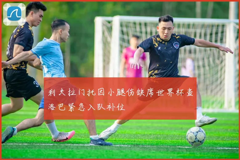 利夫拉门托因小腿伤缺席世界杯查洛巴紧急入队补位