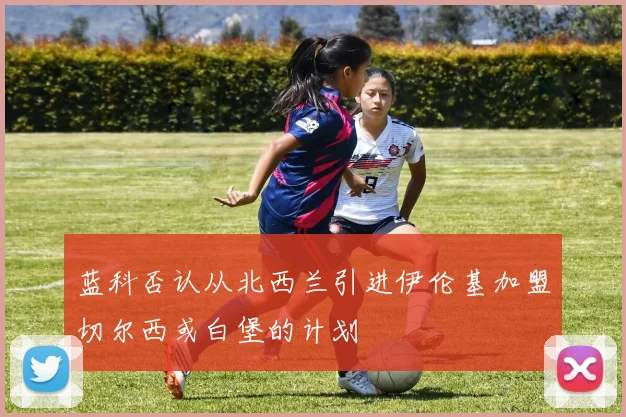 蓝科否认从北西兰引进伊伦基加盟切尔西或白堡的计划